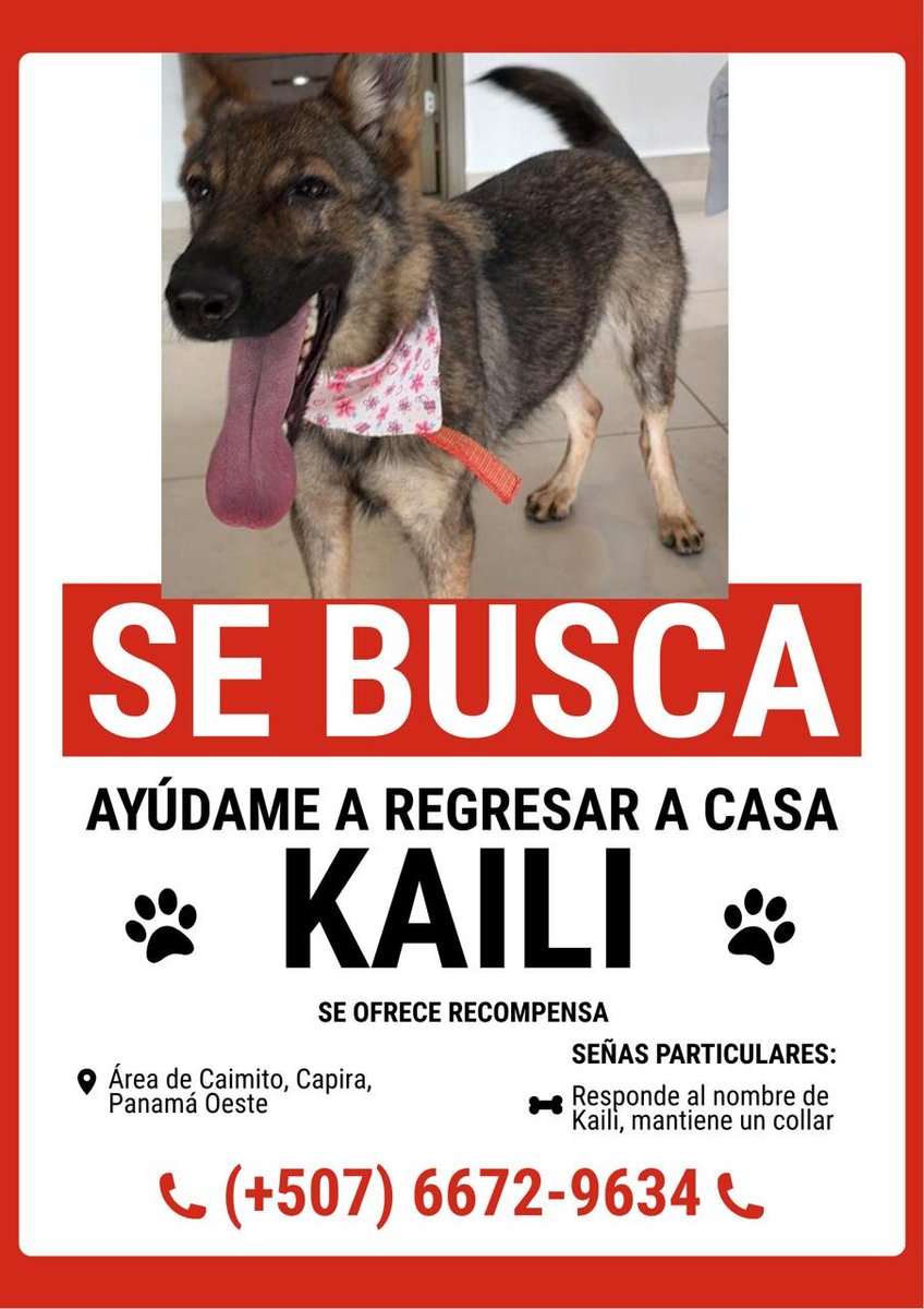 quinnannette's tweet photo. SE BUSCA https://t.co/sSK8ADnezK
