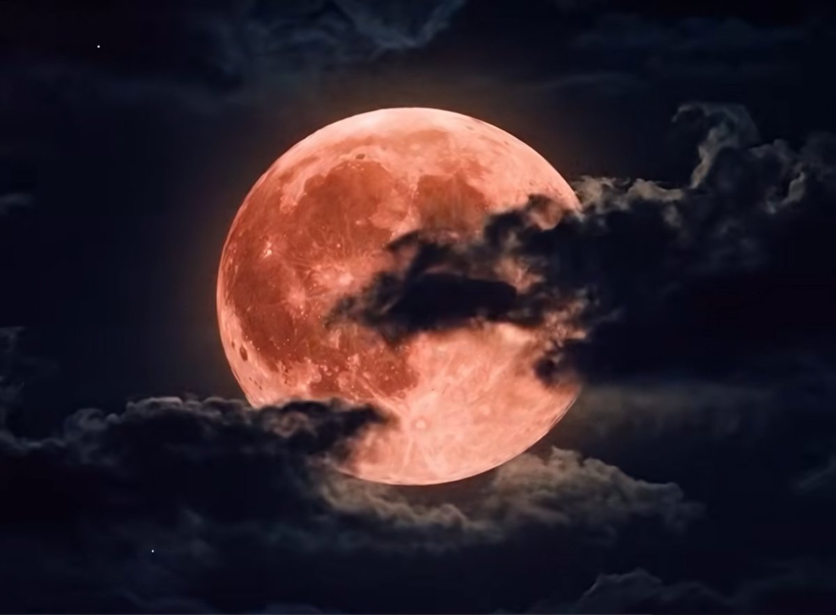 Micoat322033887's tweet photo. この時期に来るとは…さすがやな✨
🌕🐰🎑深夜0時すぎから満月だし…しかも9月の満月は
コーンムーン(Corn Moon)🌽😁✨
じぇーーーーーい🫶w
#ENHYPEN #엔하이픈
#EN_Stuck
#THE_SIN_BLISS https://t.co/IX0lPy805v