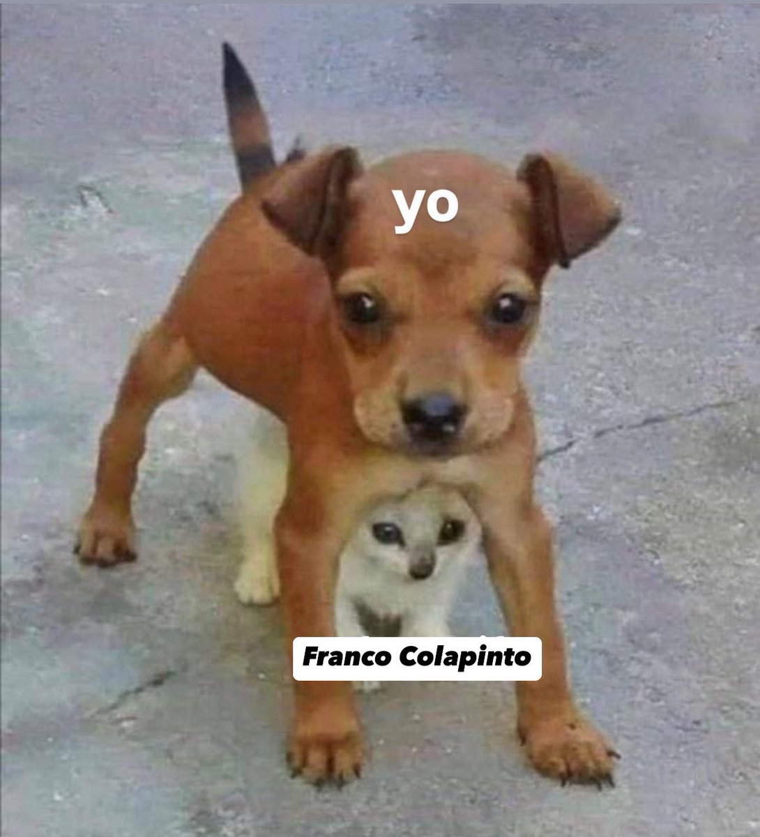 PipicucuNBZ's tweet photo. Vengan de a mil si quieren 👊🏽 https://t.co/xkj0L4wgoG