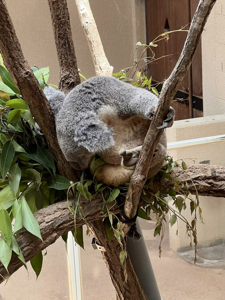 mos8se3p's tweet photo. 笑うはメルカリばかりなり https://t.co/6FCvOonjPk