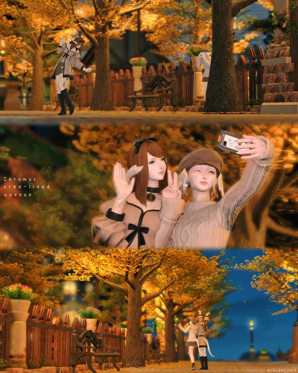 pyulpyulpon's tweet photo. フレとも並木道行ってきた🍁🍂
何回行っても良いところ😳
#FF14 #ゼロムス並木道 https://t.co/Ax3KfdqI7d