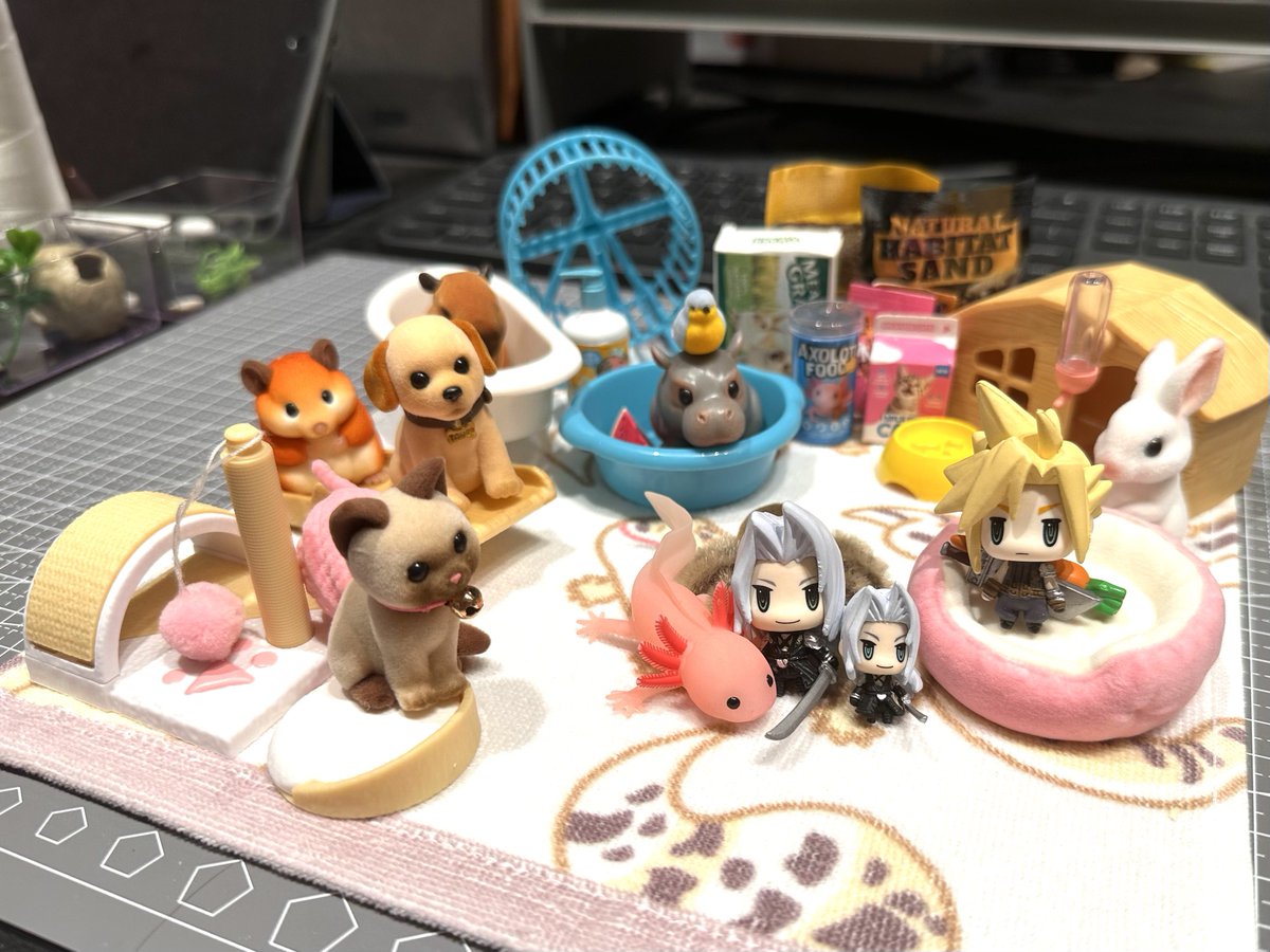 murasaki0615's tweet photo. 坐等吃饭的鼻嘎宝们 https://t.co/NPNDbsaJJT