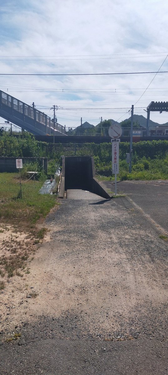 edurda_alvess's tweet photo. 積読たまりすぎて、いま何を読みたいのか自分でもわからなくなってきた。 https://t.co/U2K4M8iKGP