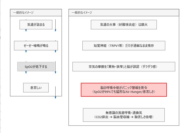 HiroAsDAsD's tweet photo. デュピクセントの効果がモストグラフや血液検査の結果から明らかにでているのだけど、体感があまり良くなっていないのは、自分は右側の状態な気がする。

よくわからんけど。 https://t.co/7yu2okpULi