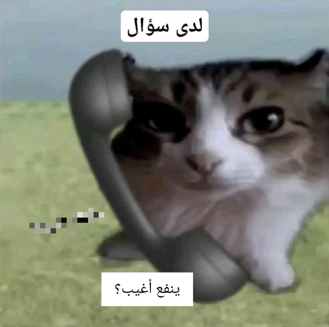 Amjad__04's tweet photo. عودة ال https://t.co/b02WUAAoJ7