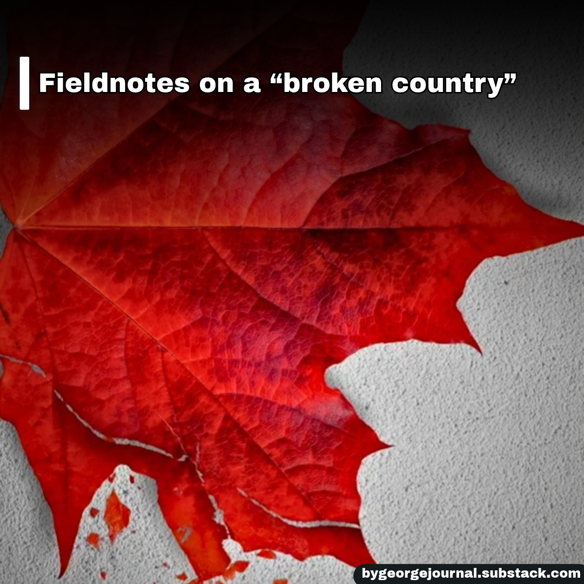 ByGeorgeJournal's tweet photo. OBSERVATIONS ON MPs FIRST WEEK BACK IN OTTAWA
Read the news and commentary connecting the dots in Ottawa - link in the comments
#cdnpoli #cdnpolitics #bygeorgejournal #elbowsup #MarkCarney #PierrePoilievre #Ottawa #Toronto #Niagara #StCatharines #Hamilton #Edmonton #Calgary #Regina #Ontario #Alberta #Saskatchewan #Canada