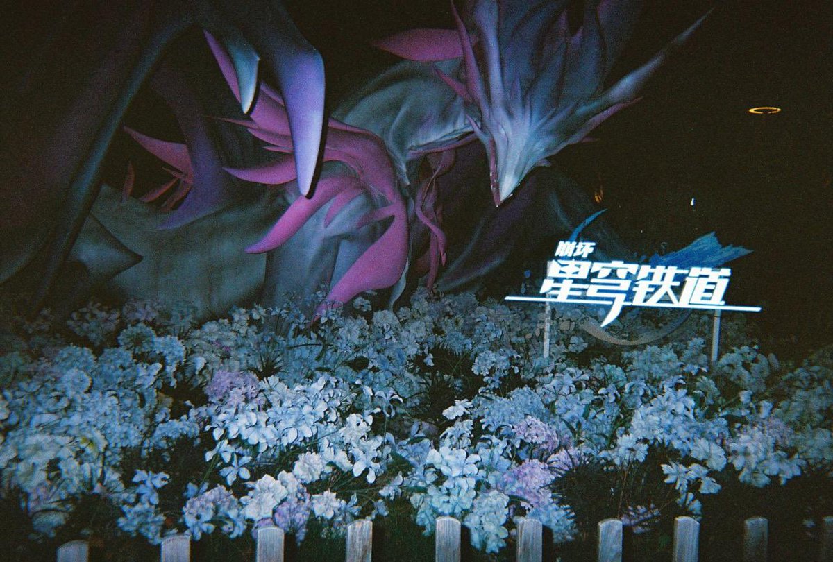 Loonloonya's tweet photo. 今日こないだ写ルンですで撮った写真受け取ったんだけど良すぎるよね,,,🫶🫶 https://t.co/qbHBouArsG