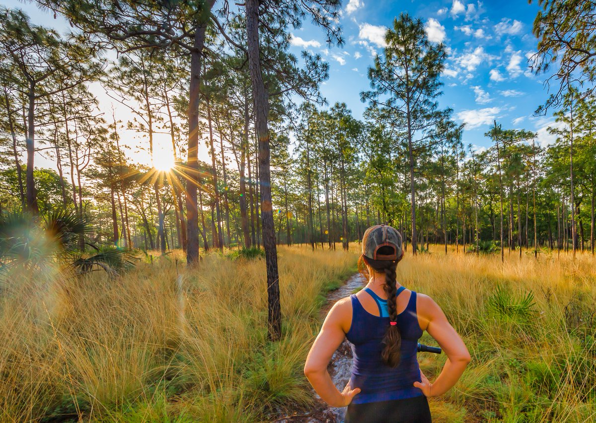 FLStateParks's tweet photo. National Public Lands Day is here, and Florida State Parks are celebrating the natural areas that belong to everyone. Public lands protect clean water, wildlife habitat and the outdoor spaces people enjoy for hiking, paddling and learning about nature. 

Across the state, volunteers help with trail work, litter removal and other projects that keep parks healthy. These efforts support conservation and make sure parks stay welcoming for future visitors. 

National Public Lands Day reminds us that these places thrive when communities care for them. 

***     
📍: Wekiwa Springs State Park 

💡: Plan your adventure at https://t.co/YhnWcMz9Bl. Before you visit, check the KNOW BEFORE YOU GO section on the park’s webpage for real-time updates and helpful information.      
.       
.     
#FLStateParks #WekiwaSprings #TheRealFlorida #LoveFL