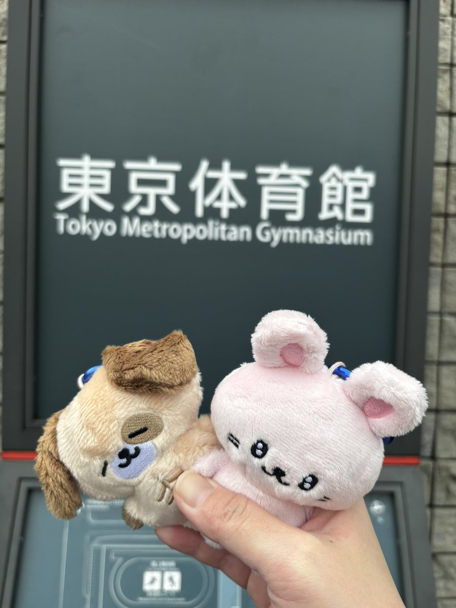 Overflow100303's tweet photo. 最高すぎました！ https://t.co/8tuWDlji1x