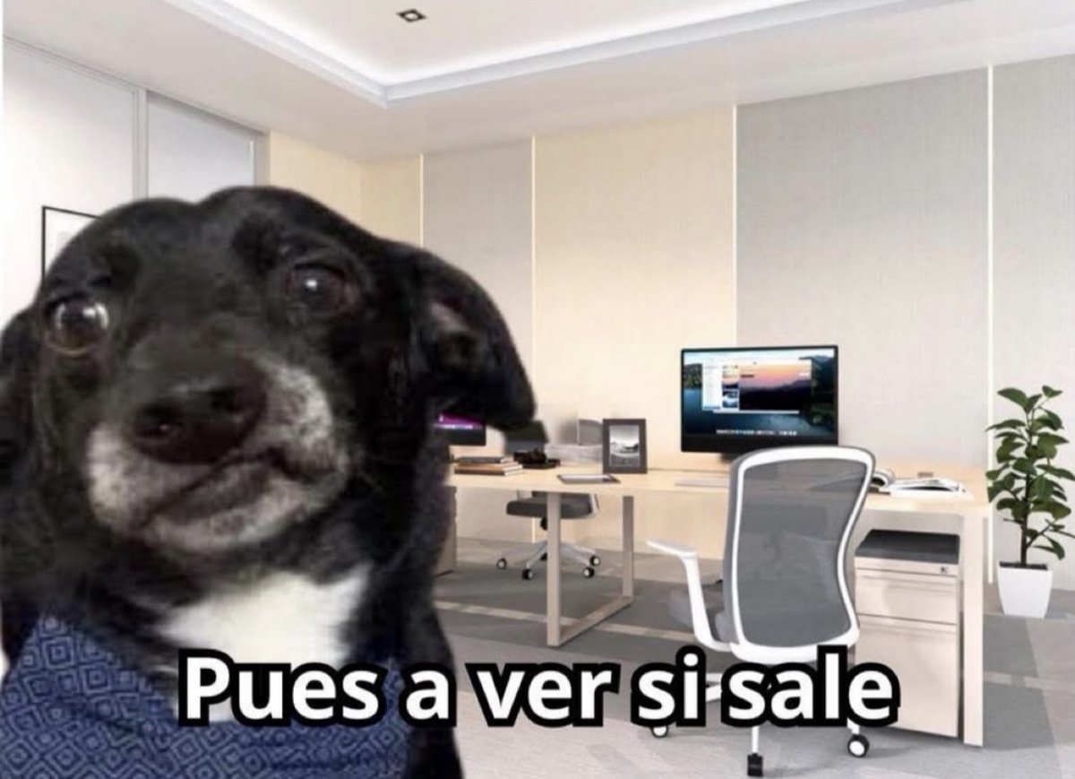 carlaconwifi's tweet photo. *Mi jefe me pide algo faltando 7 horas para salir*

Yo: https://t.co/EbW3xD6VDQ
