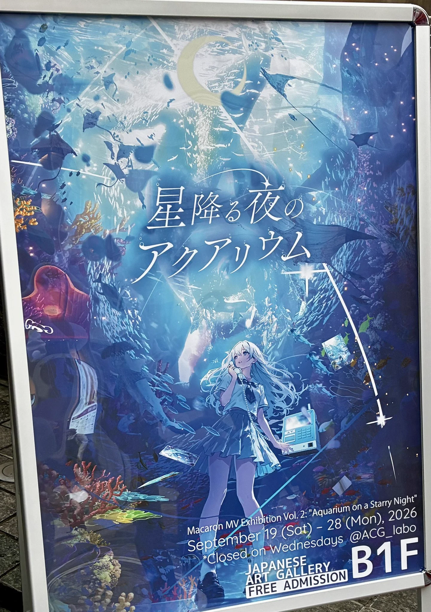 まころん🐳 個展-星降る夜のアクアリウム9.19-9.28 (@makoron117117) / X