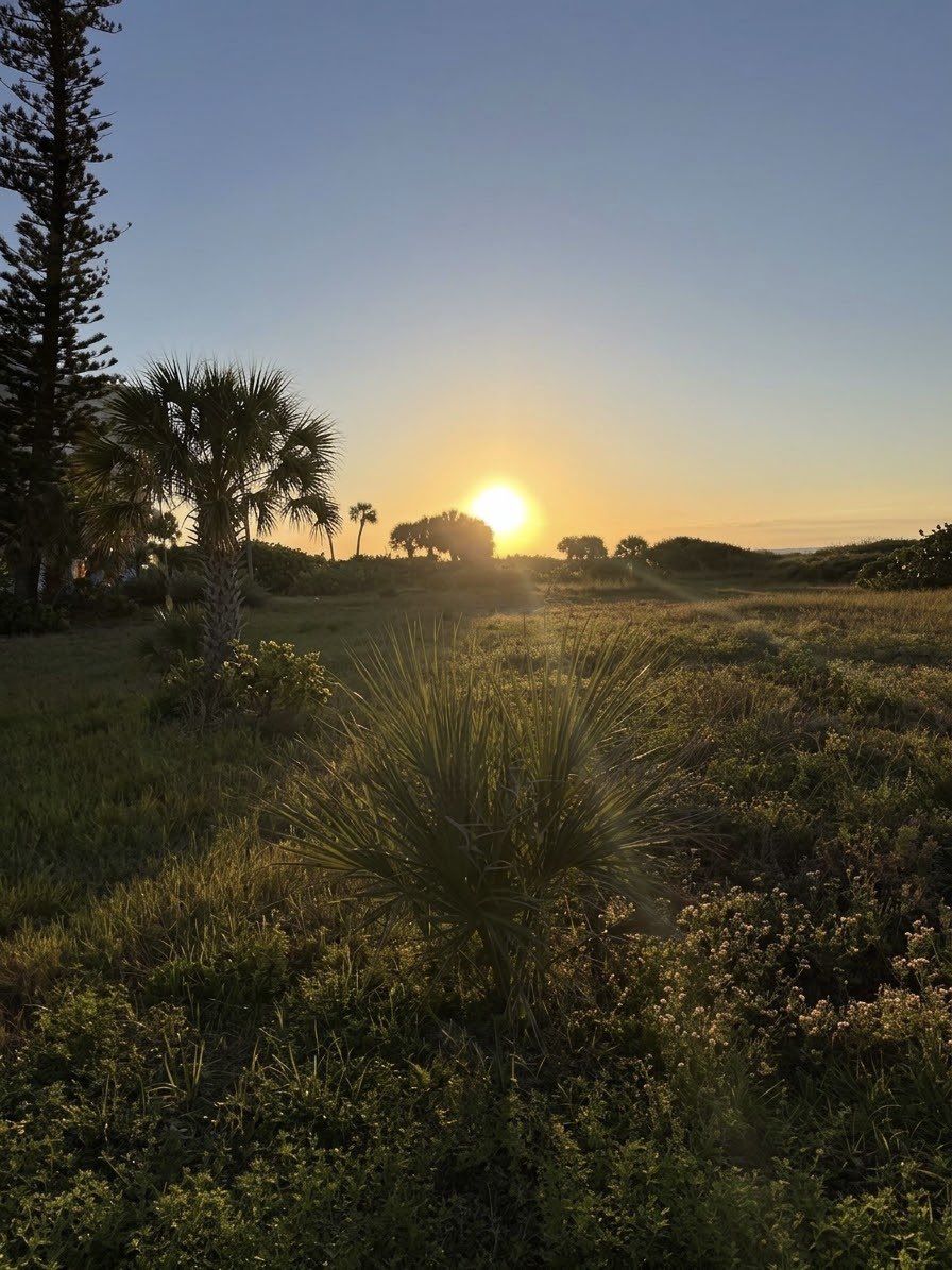 JohnBostonRowe's tweet photo. A delightful 68° to start the day and a beautiful sunrise too… 

#FloridaRunning #SunriseRunner #KeepMoving #OneMoreMile #FitAt48

Run streak day: 55 https://t.co/uB6JBoo64j