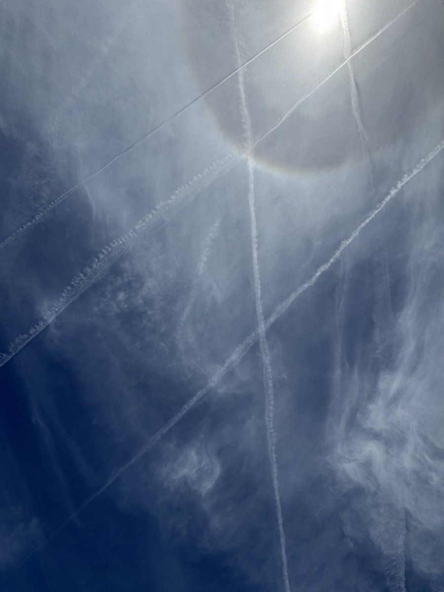 flinchawake's tweet photo. high as balls staring at the sky https://t.co/vVktvcQr12