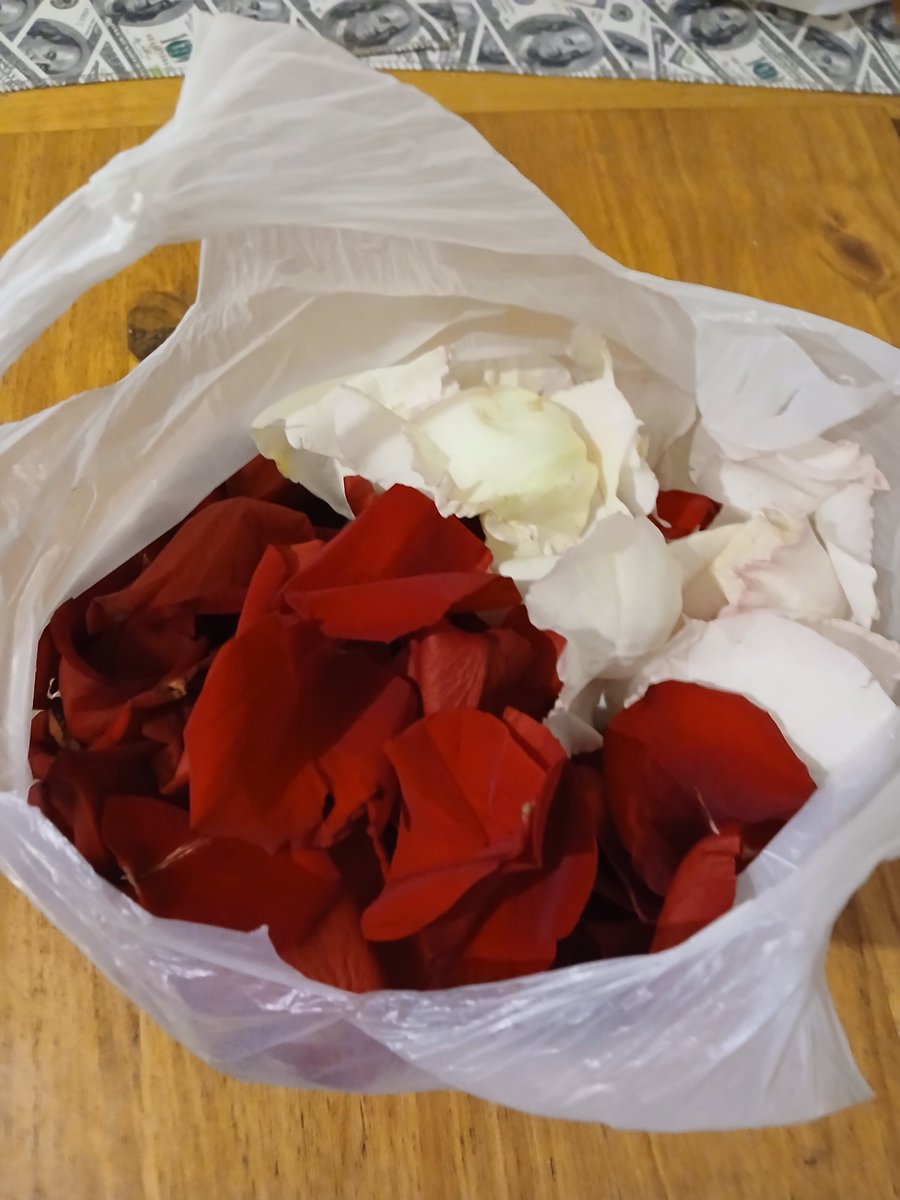 Marian_catt's tweet photo. Durarán los petalos hasta el miércoles que es el casamiento? Ya los puse en un recipiente con papel en la heladera https://t.co/ghRuNzt7BM