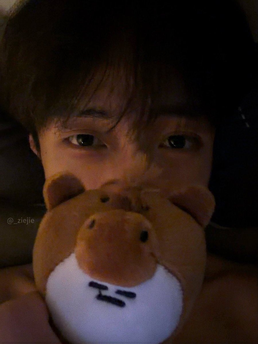xvuouvx's tweet photo. 🐻 https://t.co/dVd5bvUvbt