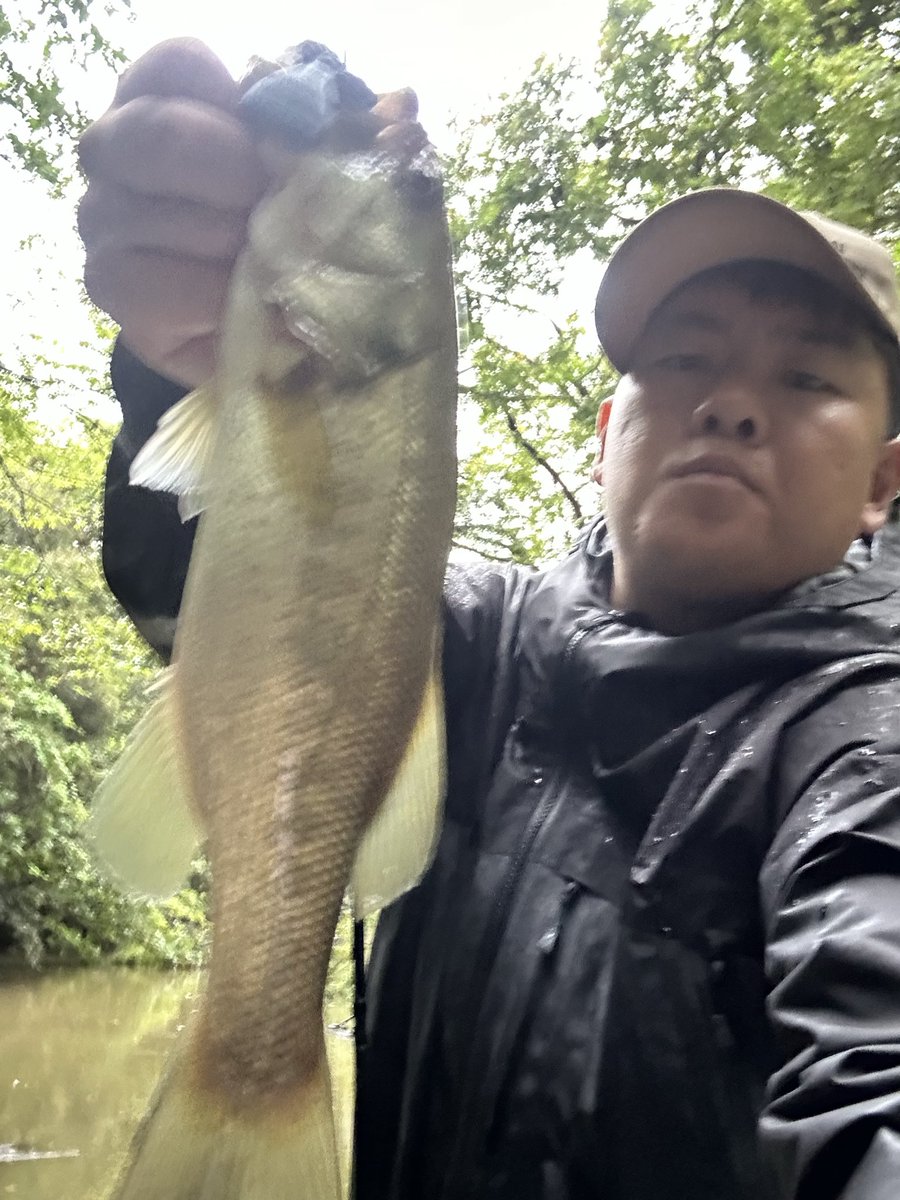 phvmyv's tweet photo. 本日の三島湖
いきなり55クラスのやつがヒットしたがバレてしまい意気消沈😔そこからポツポツと拾って7本😅55クラスが取れていたら完全にハマった日でした😎
本日幸雄さん���らの一言「フックは疑わしくは罰する（交換しろ）」速攻スナックジグのフック交換✌️
#三島湖
#ともゑボート
#房総リザーバー https://t.co/CFdLatDM6x