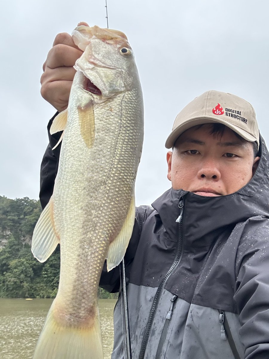 phvmyv's tweet photo. 本日の三島湖
いきなり55クラスのやつがヒットしたがバレてしまい意気消沈😔そこからポツポツと拾って7本😅55クラスが取れていたら完全にハマった日でした😎
本日幸雄さん���らの一言「フックは疑わしくは罰する（交換しろ）」速攻スナックジグのフック交換✌️
#三島湖
#ともゑボート
#房総リザーバー https://t.co/CFdLatDM6x