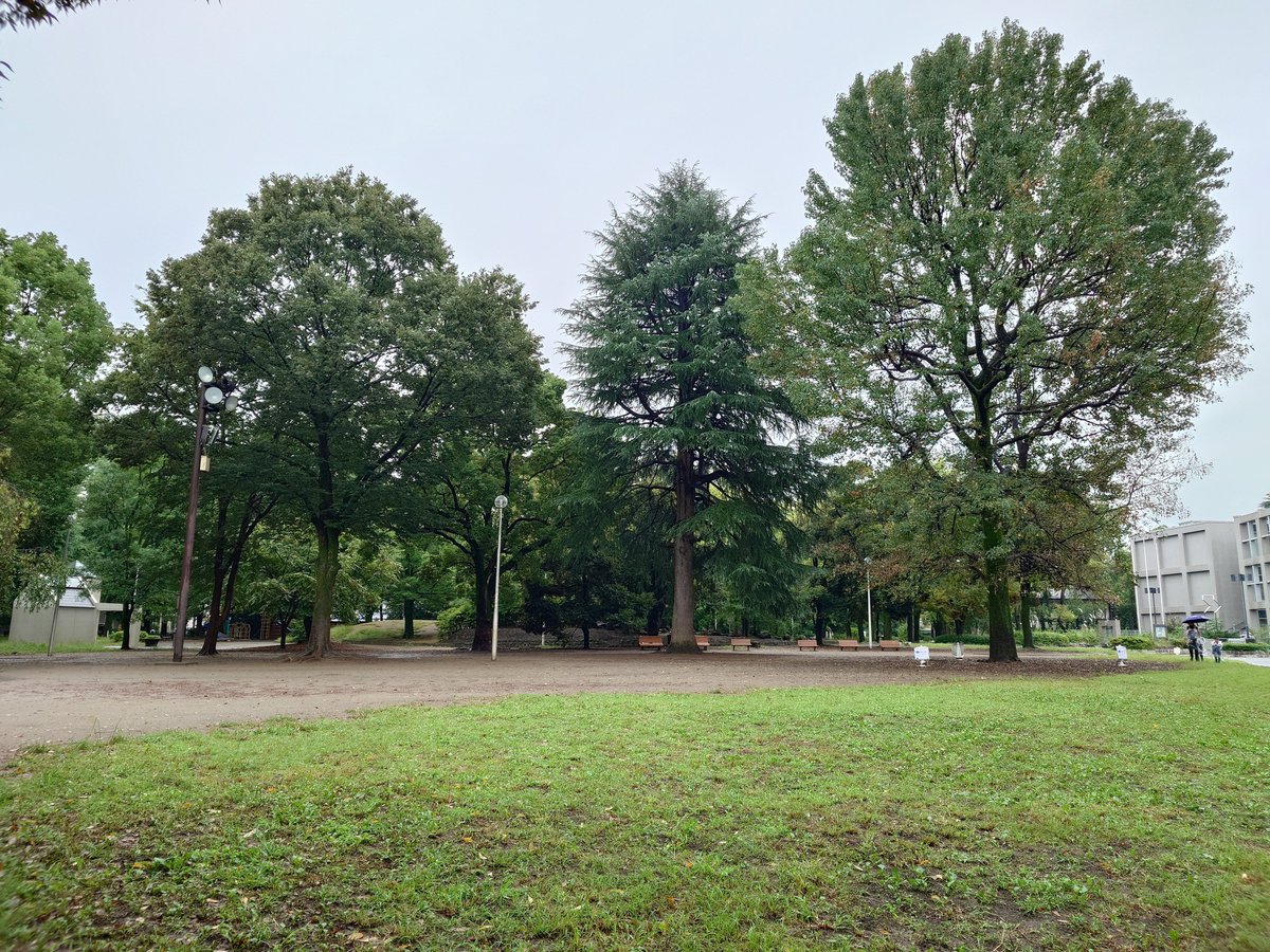 Y8MxT_tw's tweet photo. 雨の北浦和公園。
噴水広場で「北浦和阿波おどり」が開催されていたため、それなりに多くの人が訪れていました。
#北浦和公園 
#雨 
#阿波おどり 
#北浦和阿波おどり https://t.co/fGeMNcBOZa
