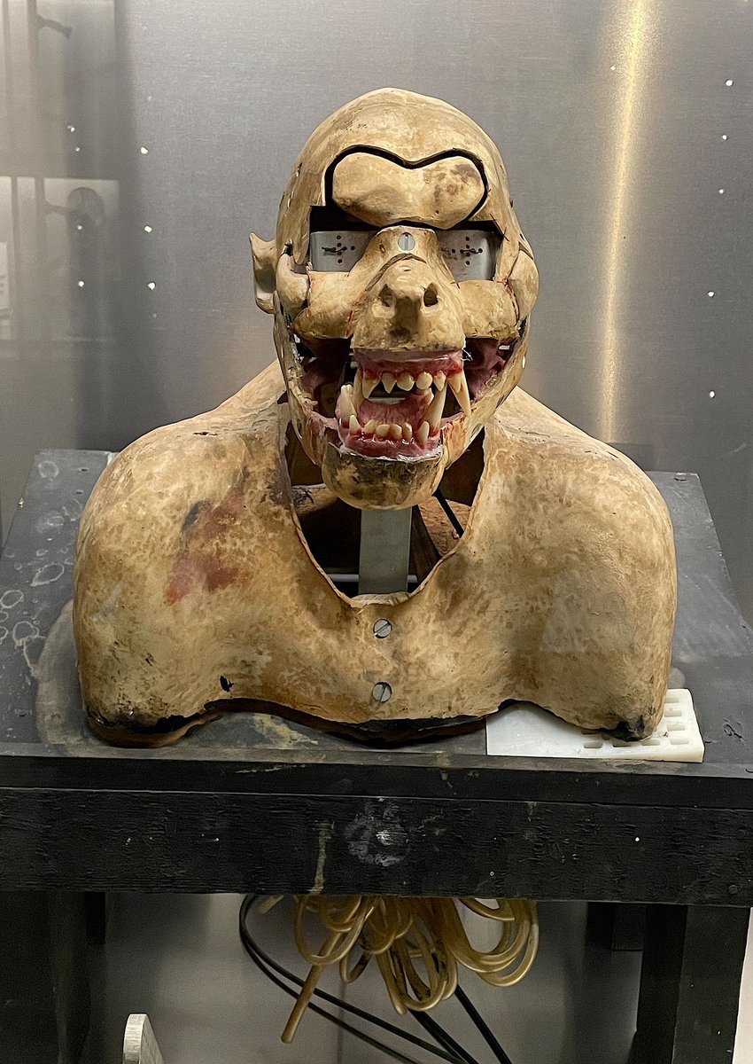 SFXmagazine's tweet photo. SFX attended the press preview of The Horror Show at @academymuseum 🦇

See some of our highlights this weekend… 💀

1. 19th century ghost under a willow
2. 1818 first edition of Frankenstein
3. An American Werewolf in London mechanics
4. Annabelle 

#Horror #Halloween #Spooky https://t.co/UvpF4N8vdd