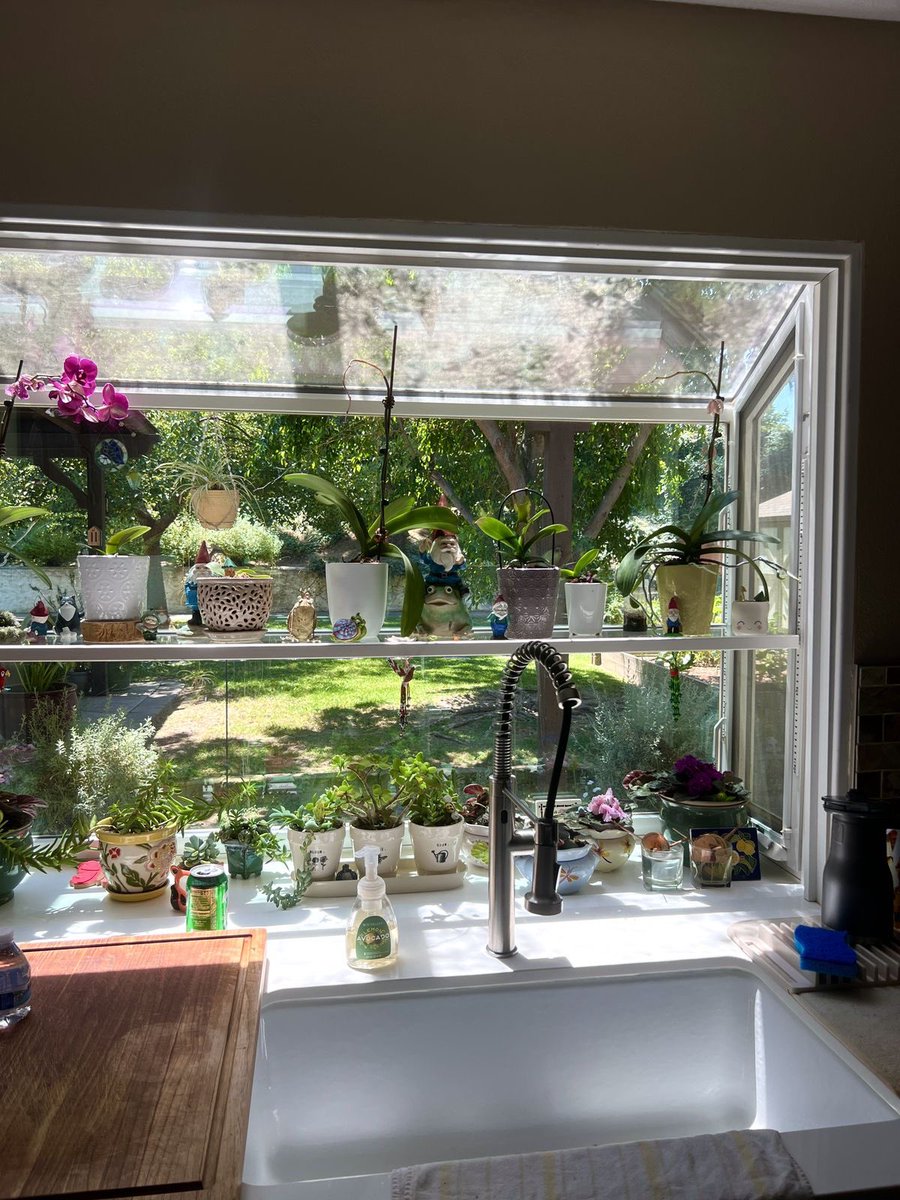 greenvibe's tweet photo. windows opening onto the garden 🍃🌿 https://t.co/Tp2hAIJD49