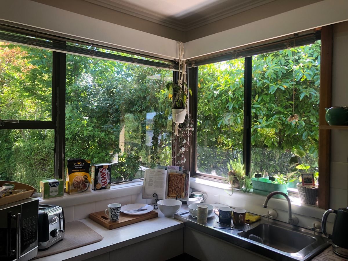 greenvibe's tweet photo. windows opening onto the garden 🍃🌿 https://t.co/Tp2hAIJD49
