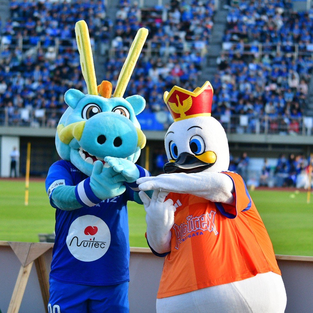 pq_Mine's tweet photo. ブラウゴンとアルビくん、お久しぶりに見たわね。

トラジャさんのTJマーク、1人がTで1人がJ？って思ったら、これでTJマークになるらしい。 https://t.co/OoPeQxzUxp