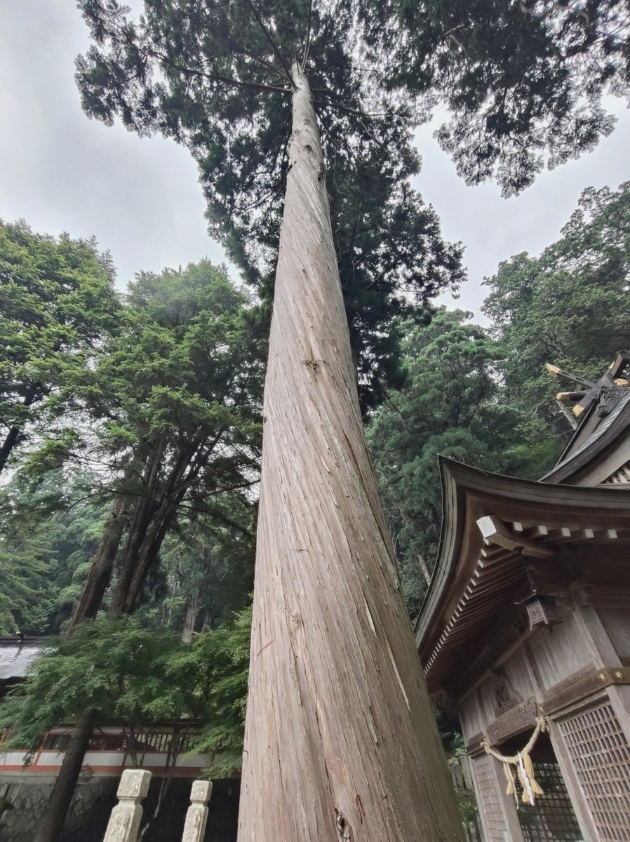 lcbyerley's tweet photo. ホット爆風デカ過ぎて近距離でも上にエイム傾ければ当たっちゃうんだ
マジで判定デカくしたアプデ今からでも遅くないから修正しよう https://t.co/twUhvgM1rD