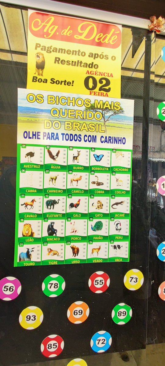 aovascotudocrvg's tweet photo. esse jogo do bicho é viciante kkkkk vão ter que proibir logo se não vou perder muito dinheiro nisso https://t.co/IAblYSUu3H