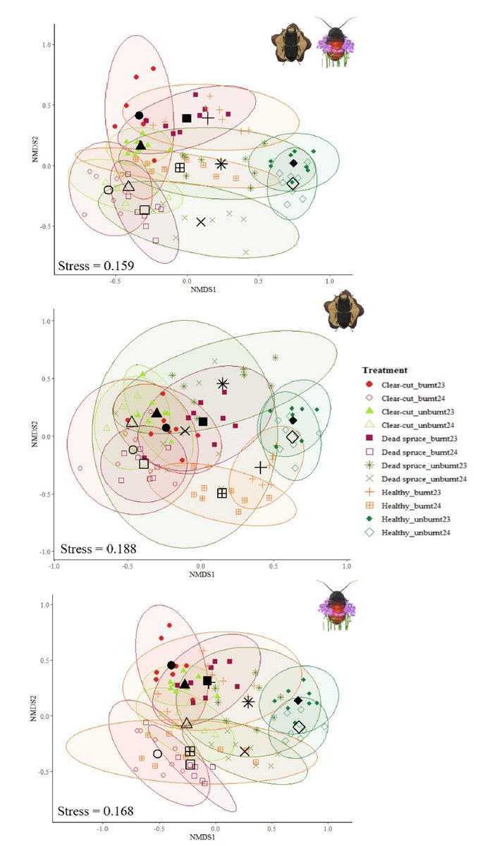RModlinger's tweet photo. NEW ARTICLE 🔊Post-fire succession of saproxylic and non-saproxylic beetles: wildfire as an almost disappeared historical disturbance in Central Europe. #Forest @fireecology #Beetles #FireEcology
https://t.co/PF2YFk5wK3 https://t.co/IHRgmJN4oM