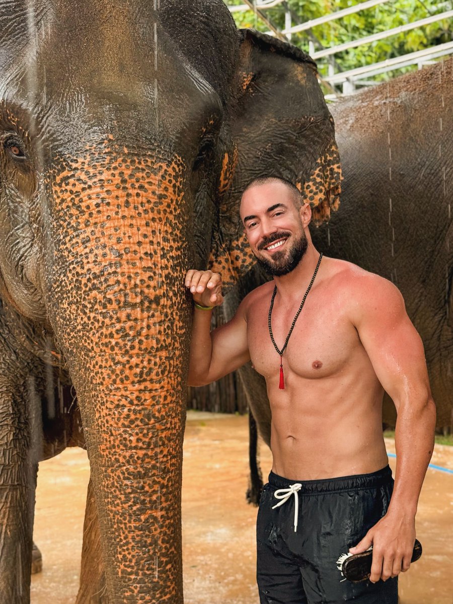 JeanmarieSebo's tweet photo. Gentle giants: symbols of wisdom and strength. What an amazing experience! https://t.co/WHv5GI2245