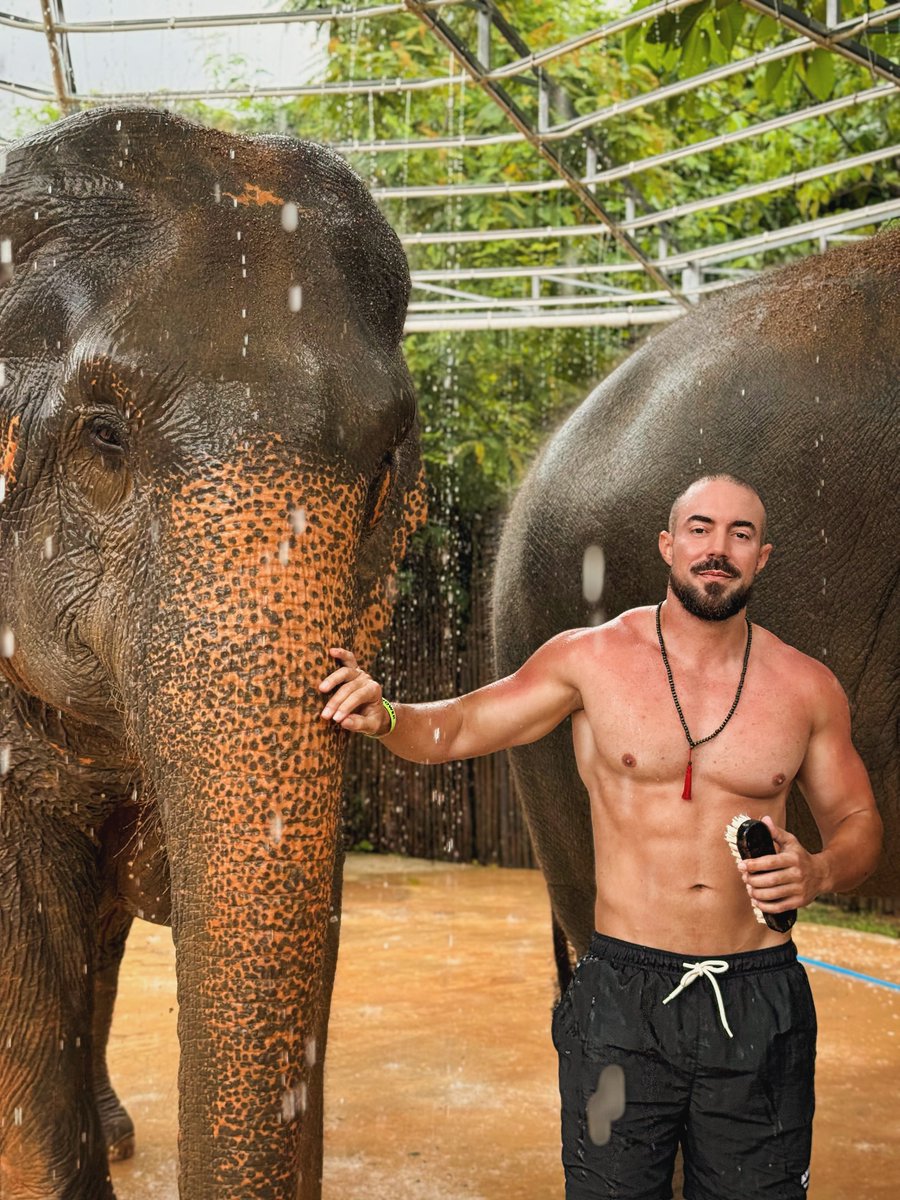 JeanmarieSebo's tweet photo. Gentle giants: symbols of wisdom and strength. What an amazing experience! https://t.co/WHv5GI2245