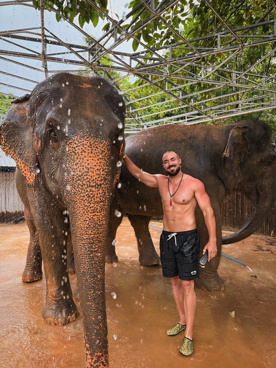JeanmarieSebo's tweet photo. Gentle giants: symbols of wisdom and strength. What an amazing experience! https://t.co/WHv5GI2245