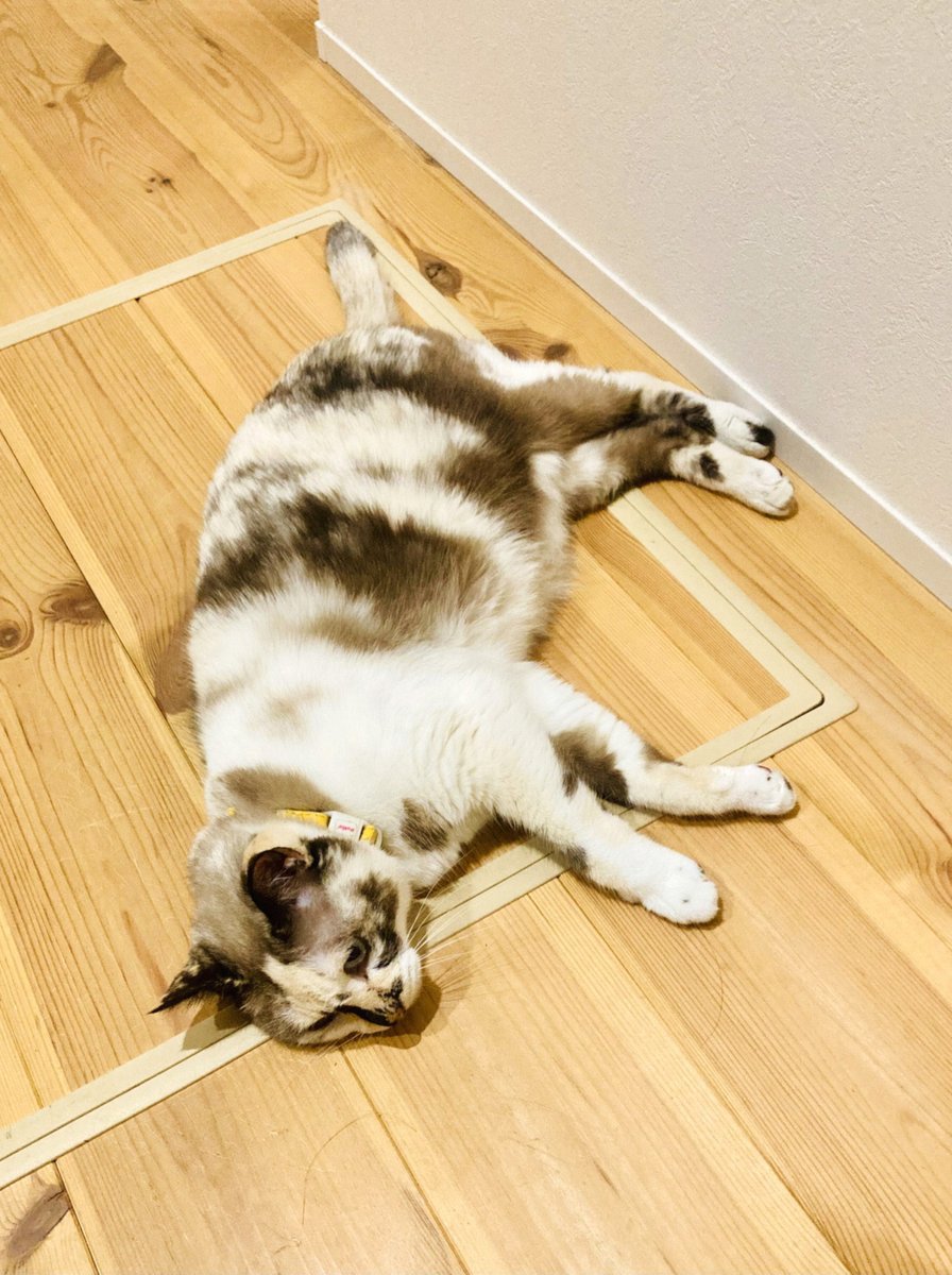 fefe0209's tweet photo. シム・フースイはラノベ枠だと思うんだ https://t.co/ZskQBalou5