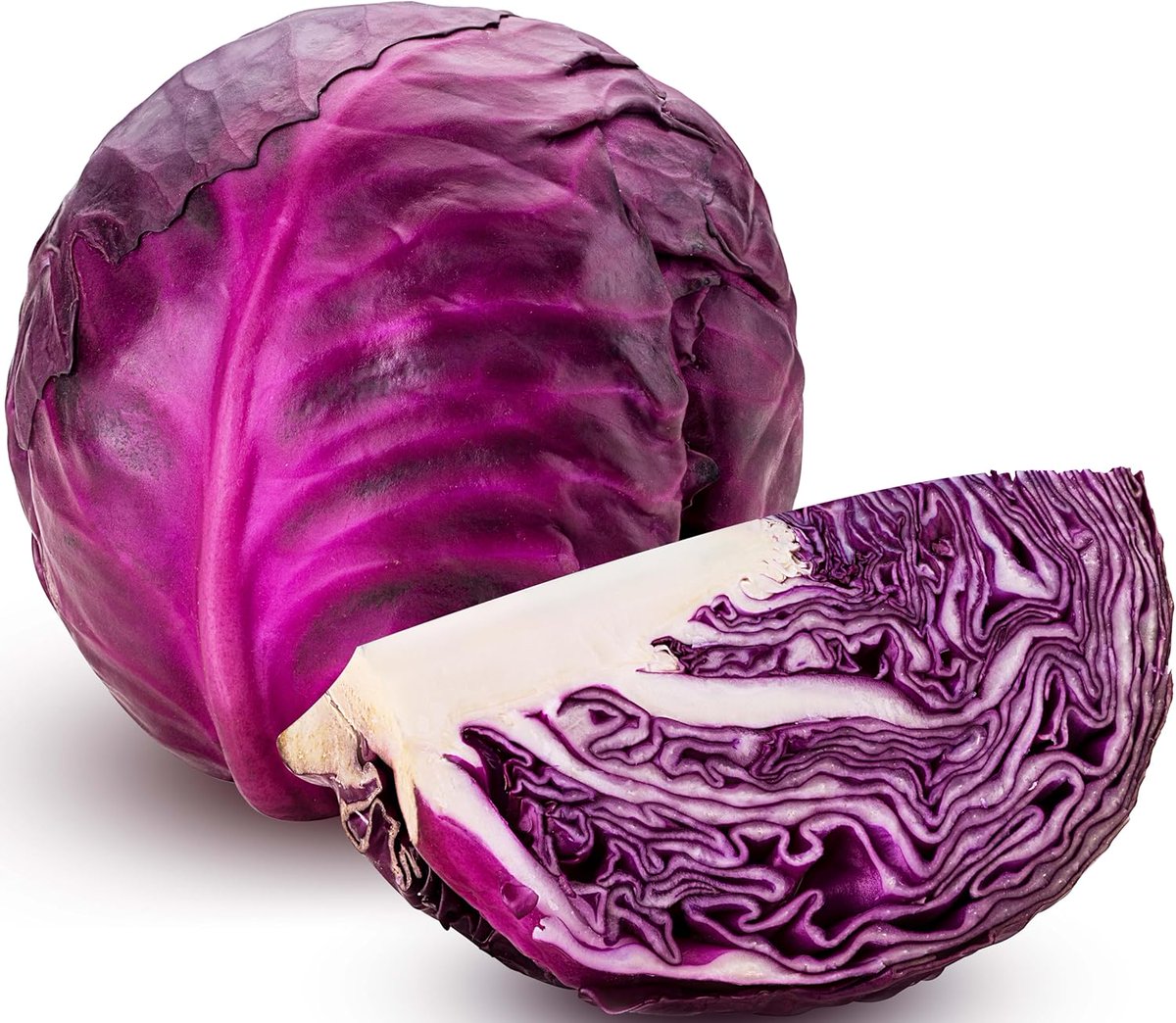 CompostMatters's tweet photo. Compact, deep-red Red Acre cabbage for small or container gardens—firm, flavorful heads perfect for salads, slaws, or pickling. Heirloom, non-GMO seeds for reliable color and taste. Add to your planting rotation. #Gardening #HomeGrown Tap the link in bio. https://t.co/1QtyTHRMMp