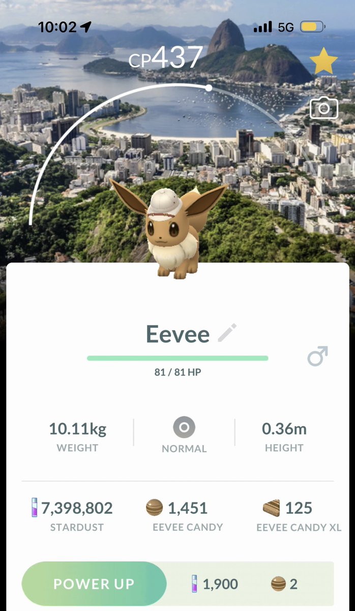Phabelha2's tweet photo. Começando os trabalhos!!! #gosafari #pogo #pokemon #pokemongo #riodejaneiro https://t.co/rErxqW0ueT