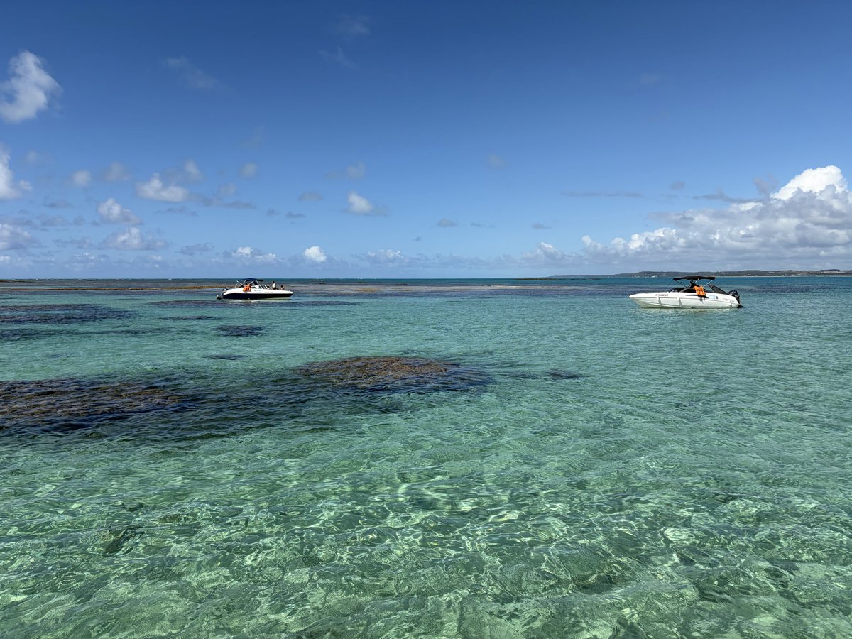 RaulGuarini's tweet photo. Are you in the academia job market this year? Don’t miss the chance of applying to our positions at @FGV_EPGE!

Brazil does have it perks! ;)

(Alagoas, near Maragogi 👇) https://t.co/a2sgPtVxsp