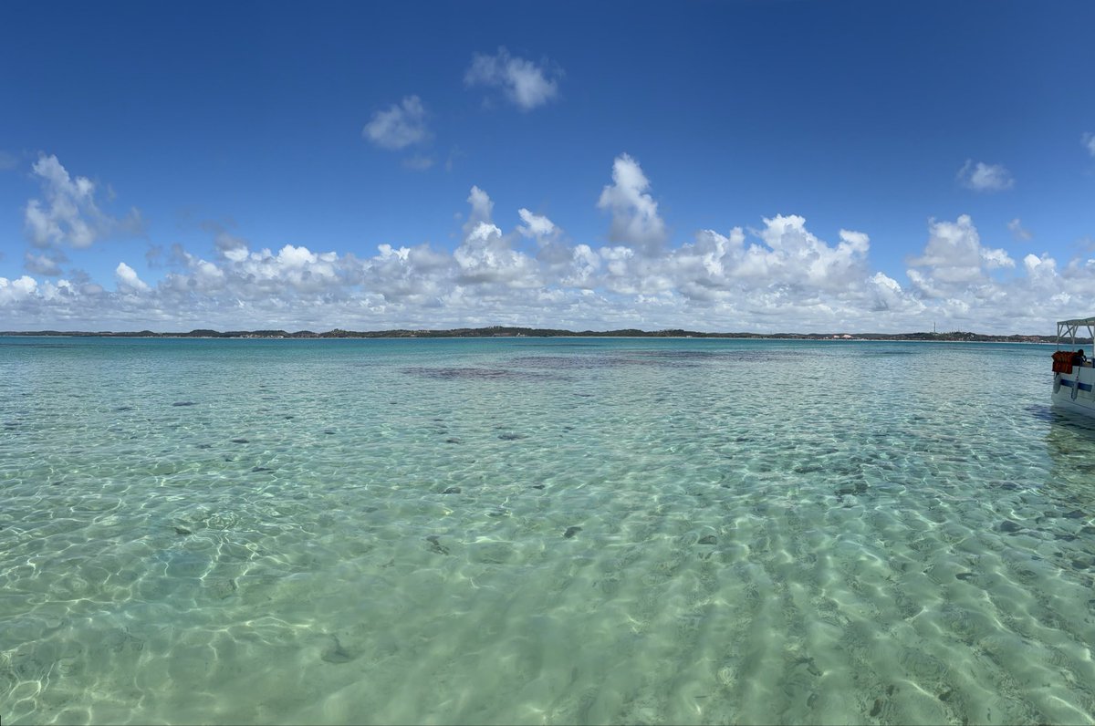RaulGuarini's tweet photo. Are you in the academia job market this year? Don’t miss the chance of applying to our positions at @FGV_EPGE!

Brazil does have it perks! ;)

(Alagoas, near Maragogi 👇) https://t.co/a2sgPtVxsp