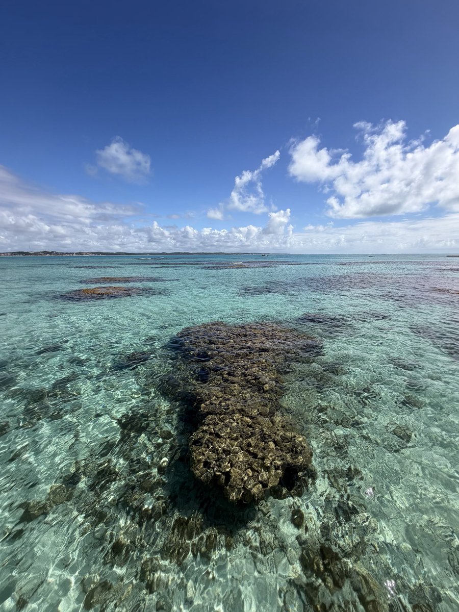 RaulGuarini's tweet photo. Are you in the academia job market this year? Don’t miss the chance of applying to our positions at @FGV_EPGE!

Brazil does have it perks! ;)

(Alagoas, near Maragogi 👇) https://t.co/a2sgPtVxsp