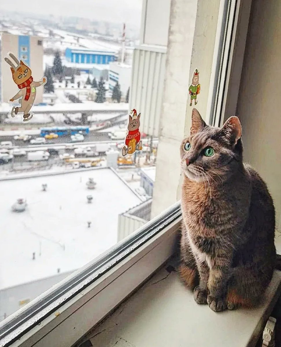 CourtneyFi1a80's tweet photo. Purr-fect window stickers from @laksheri_kotaksheri. https://t.co/MJWRPK2r0T
