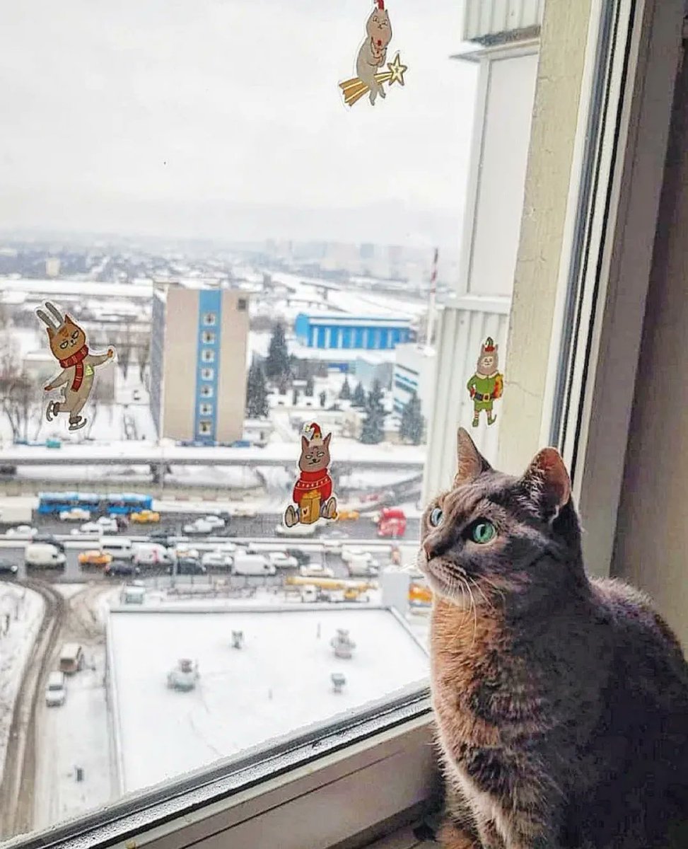 CourtneyFi1a80's tweet photo. Purr-fect window stickers from @laksheri_kotaksheri. https://t.co/MJWRPK2r0T