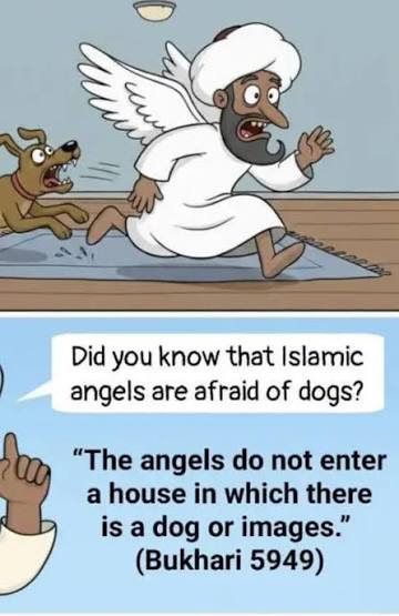 BobCornell38049's tweet photo. @johnfkjunior_ Hell No... Assimilate or Vacate, This is America not the Middle East... https://t.co/jK08MCjImm