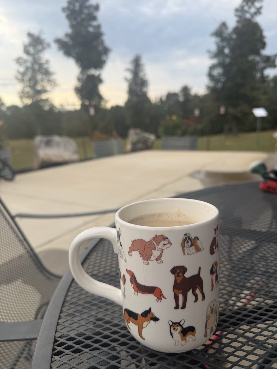 whitney_sell's tweet photo. #GOODMORNİNG https://t.co/UvupkXPSu1