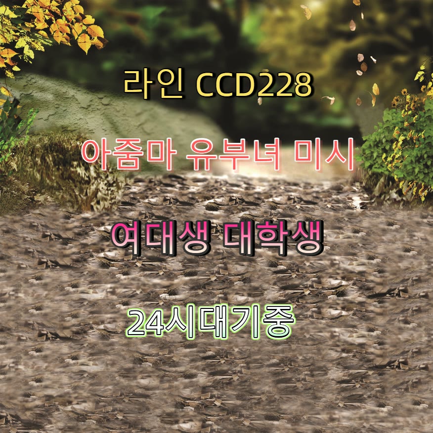 ValidDassizqut's tweet photo. ⭕📔
#��해 #김해만남
#맘눌뎀 #오프 #김해ㅈㄱ
 #건오 https://t.co/luBfhItK1V