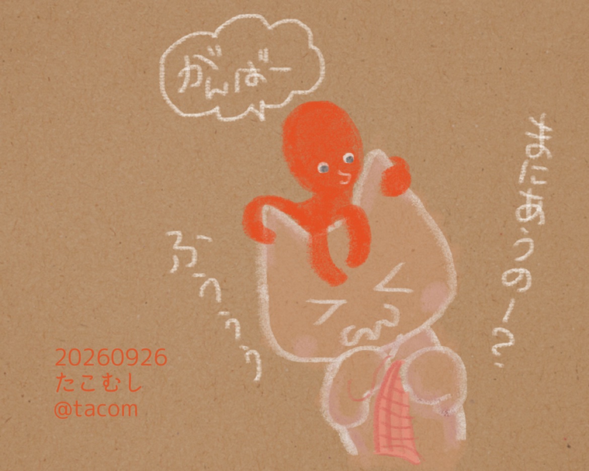 tacom's tweet photo. きょうのネコとたこ

2/11のニャンフェスに
ちゃんと間に合うのか 日々
不安になってゆく…

なかなか進化しないなー
ただひとつ
指に針を刺しても血が出なくなりました。指先固くなってます https://t.co/Vfi4atQ87l