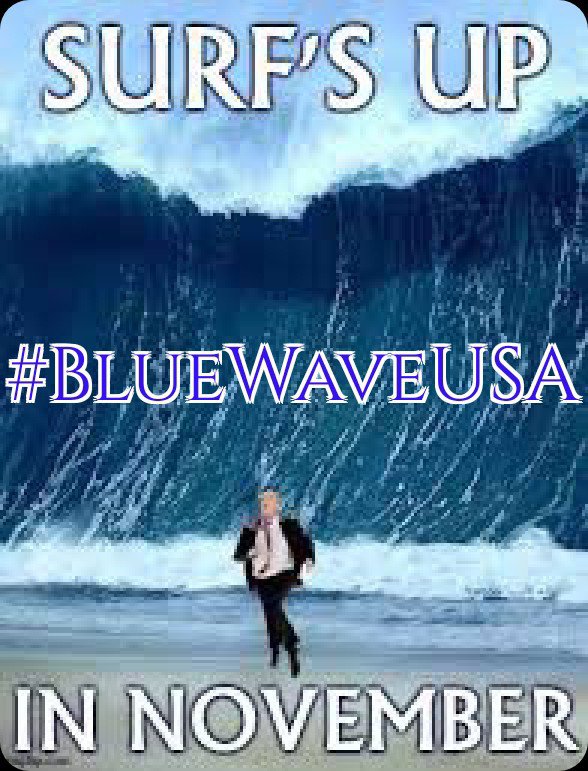 meliorist59's tweet photo. @Midwest_Voter @PulidoForTexas #BlueWaveUSA
#BlueWaveTexas https://t.co/0fpQxcDjzK