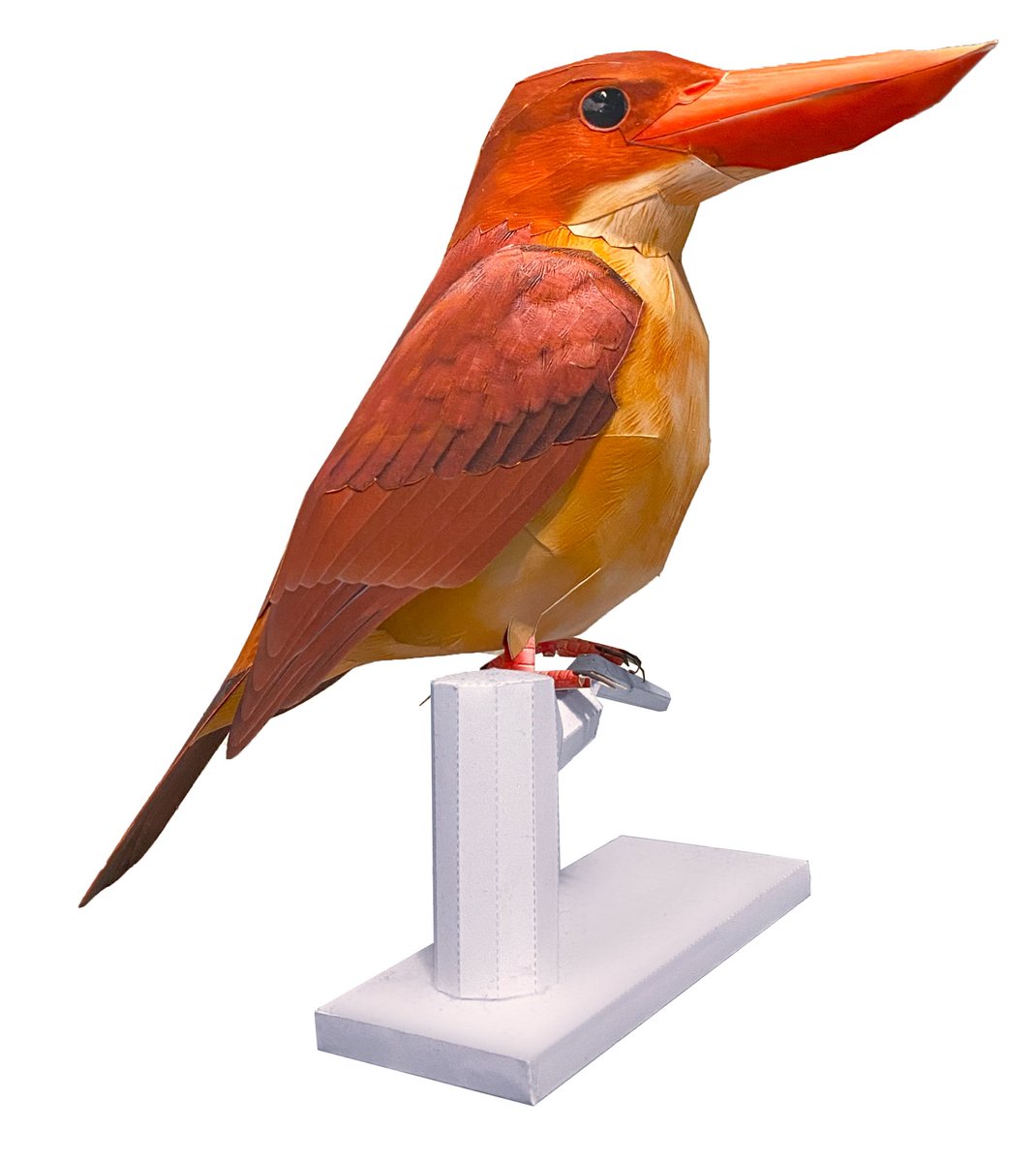 kamitoriya's tweet photo. I have now started selling the Ruddy Kingfisher, a member of the kingfisher genus.

仕事が忙しかったり、家庭の事情などで更新が遅れていましたが、カワセミの仲間のアカショウビンを販売開始しました。

#ruddykingfiser 
#papercrafter 
#アカショウビン 
#ペーパークラフト 
#kamitoriya https://t.co/pq7PPGzsRz
