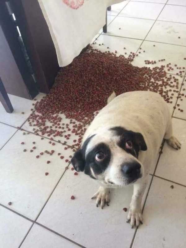 innnerv01d's tweet photo. Yo por alguna razon siempre mandándome u a cagada cuando mi mama ya está de mal humor y enojada https://t.co/nXfhCbxuMB