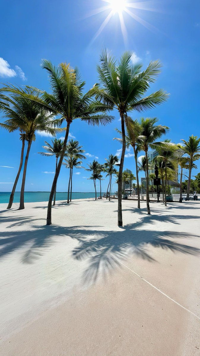 viewsoff's tweet photo. Miami 🇺🇸 https://t.co/qOkknCsGVH