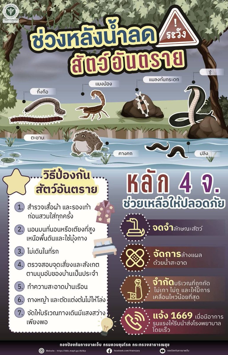 ddc_riskcom's tweet photo. ช่วงหลังน้ำลด
ระวัง 🚨สัตว์อันตราย
ด้วยหลัก 4 จ.🐍🦂🕷️🦎
⏬สามารถติดตามข่าวสารโรคและภัยสุขภาพอีกช่องทางหนึ่งทาง
https://t.co/YC6weImWB4
#แชร์บอกต่อ #หน้าฝน #น้ำท่วม
#สัตว์มีพิษ #สัตว์เลื้อยคลาน
#สายด่วนกรมควบคุมโรค1422
#กรมควบคุมโรคห่วงใยอยากเห็นคนไทยมีสุขภาพดี💖 https://t.co/MZgmY2u6Aq