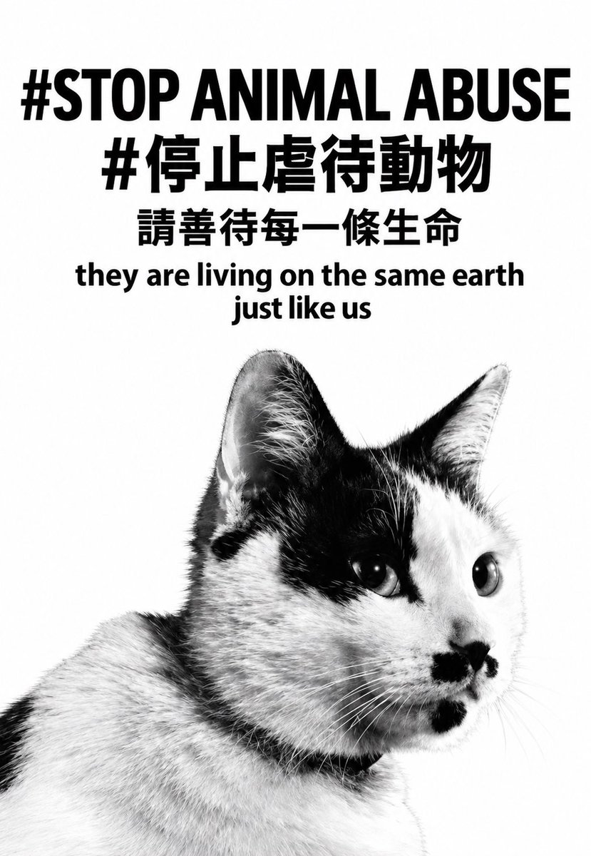 PeiLiu570497's tweet photo. #STOP ANIMAL ABUSE
#停止虐待動物

請善待每一條生命。

牠們和我們一樣，
生活在同一個地球上，
也會感受恐懼、疼痛與愛。

牠們無法替自己說話，
所以我們願意替牠們發聲。

🐾 Stop Animal Abuse.
🐾 Every life deserves kindness and respect.

#StopAnimalAbuse #AnimalProtection #WangWang https://t.co/XbWV73nz0i
